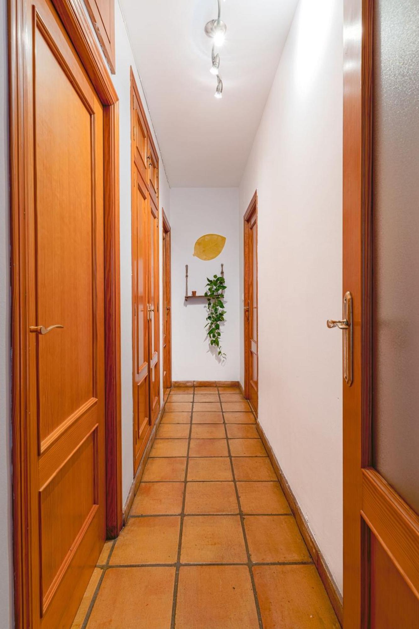 Musico Turia Gardens Apartment Valencia Exterior photo